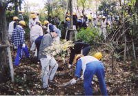 �K�i�Â���