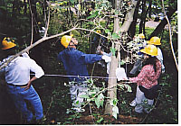 ����������؂𒲂ׂ�