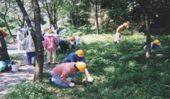 �G�ؗт̉������蕗�i